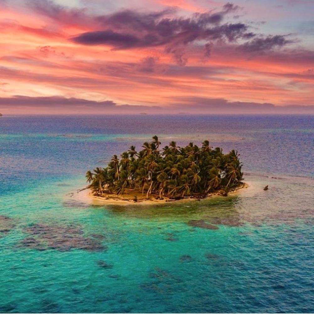 Meet your Posher, suhfive